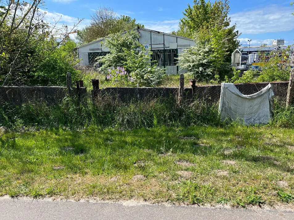 Jüdischer Friedhof Greifswald