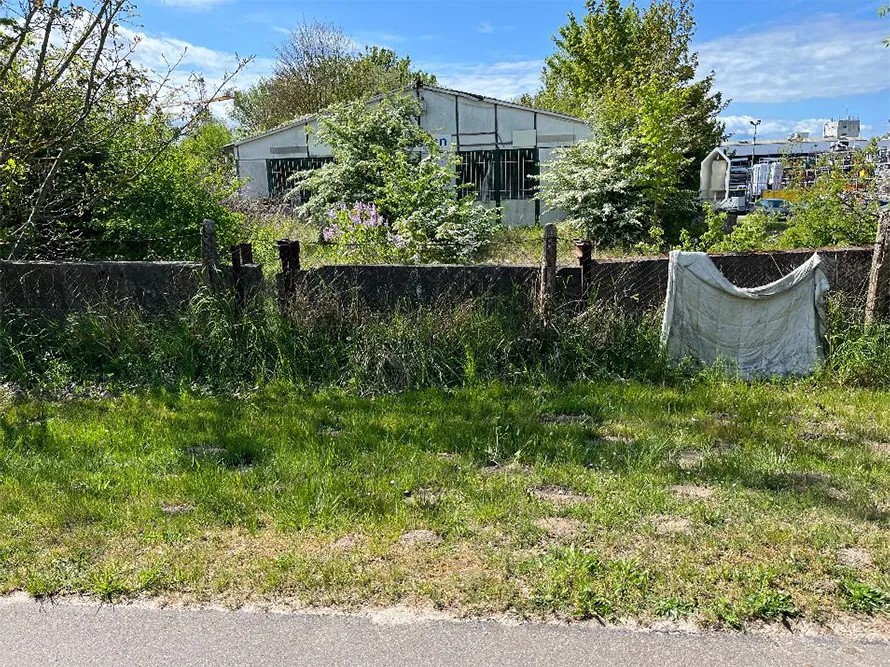 zerstörter jüdischer Friedhof Greifswald - Ansicht von Gützkower Landstraße